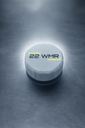 Mini 22 WMR Ammo Container
